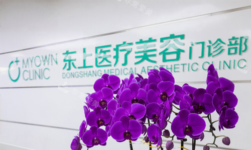 重庆东上医疗美容logo墙