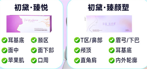 初黛玻尿酸不同系列简介