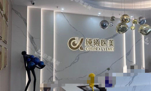 成都纯曦整形前台展示图