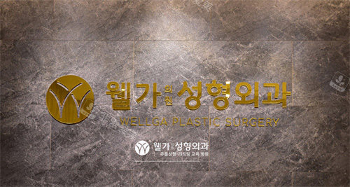 韩国Wellga整形外科logo