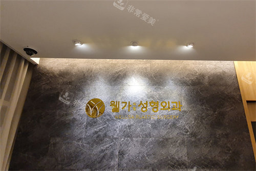 韩国Wellga整形外科前台
