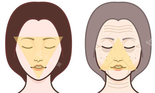 年轻与老化的皮肤