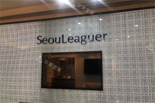 上海首尔 丽格医疗美容医院品牌墙