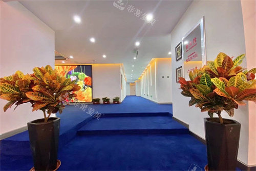 长春融美医疗美容走廊环境