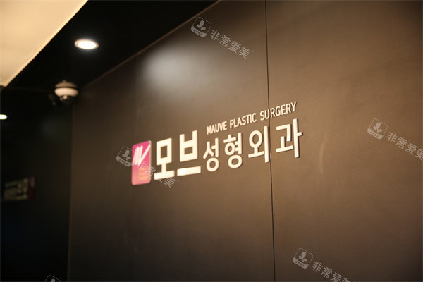 韩国mauve整形外科logo 韩国mauve整形外科logo