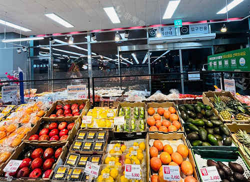 韩国购物水果 韩国购物水果