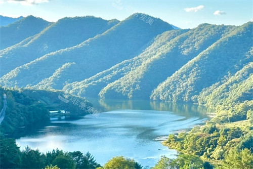 happy草原牧场景色