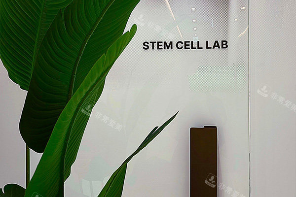 韩国aube clinic欧芙诊所清新环境